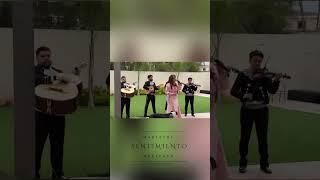 Ver vídeo 2